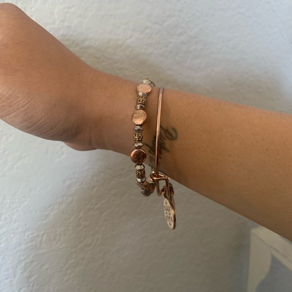 Alex and Ani winter snowflake bracelet bundle - Picture 5 of 5